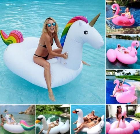 ride on pool toys