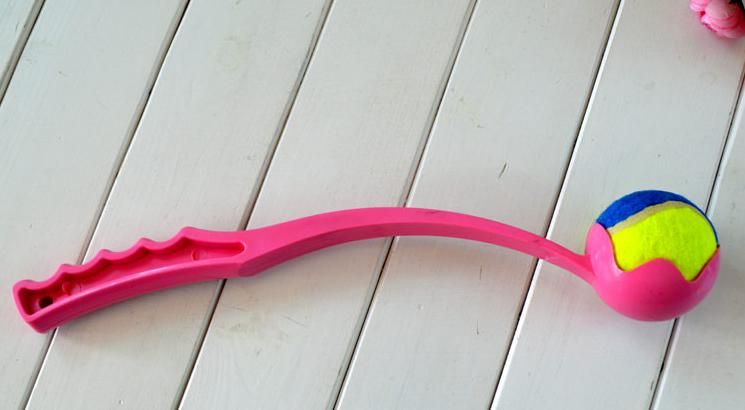 dog ball thrower stick