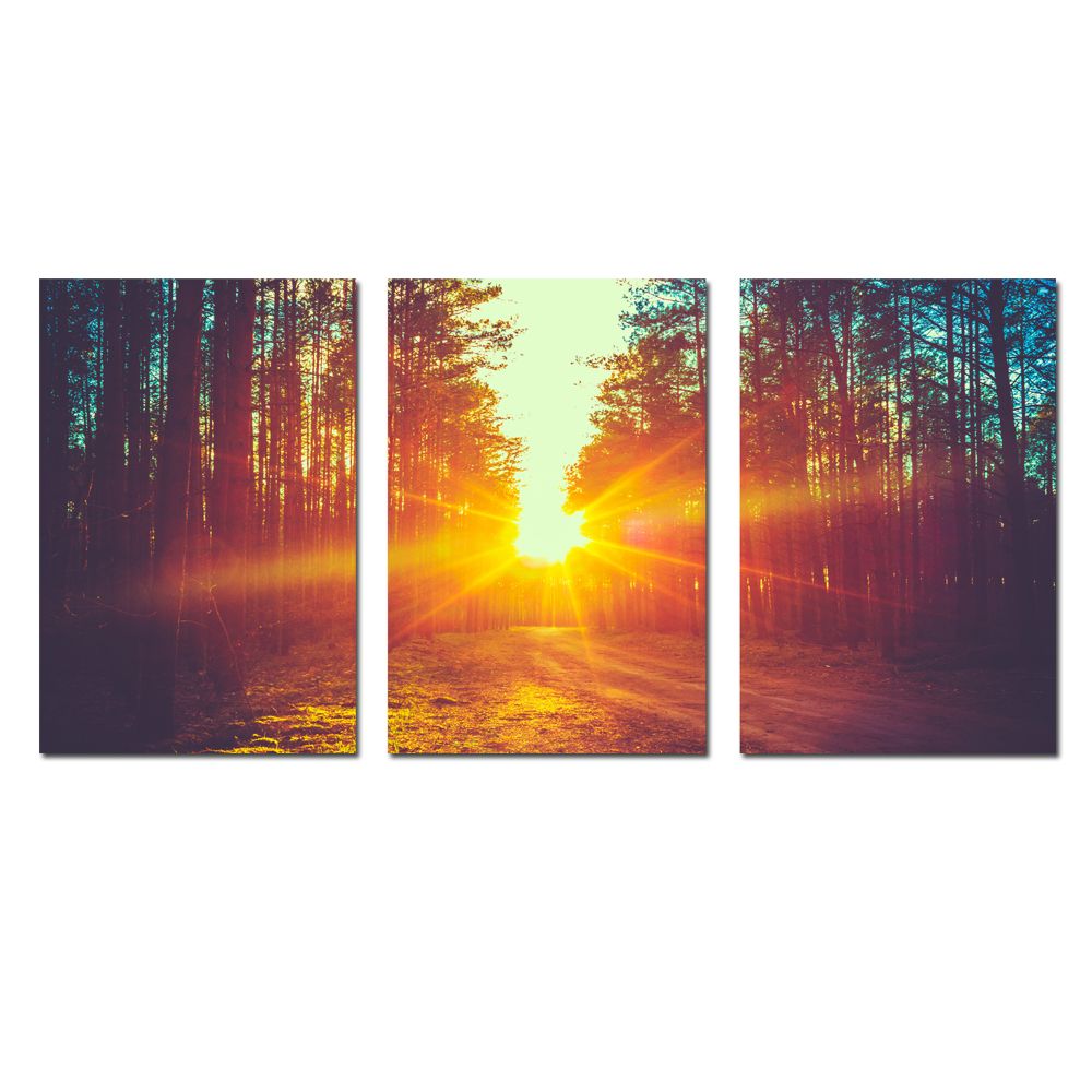 Sunset Horizon Tree Sun Birds Landscape Wall Art Large Poster Canvas Picture