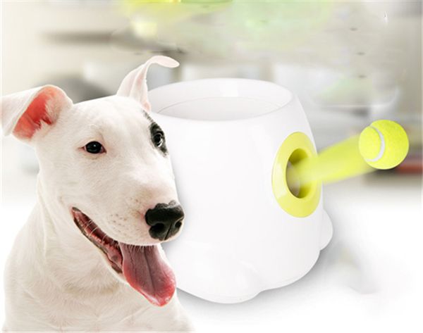pet ball launcher