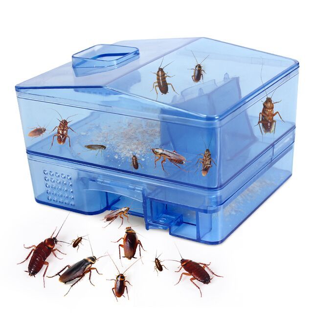 Acheter Outil De Lutte Antiparasitaire Piege A Cafards Attrape Tueur Bureau A Domicile Cuisine Cafard Cafard Catcher De 8 67 Du Wuyalin1212 Fr Dhgate Com Acheter Outil De Lutte Antiparasitaire Piege A Cafards Attrape Tueur Bureau A Domicile Cuisine Cafard Cafard Catcher De 8 67 Du Wuyalin1212 Fr Dhgate Com