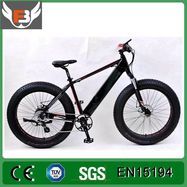fatboy ebike