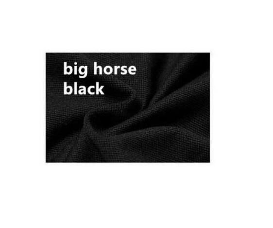 كبير الخيول السوداء