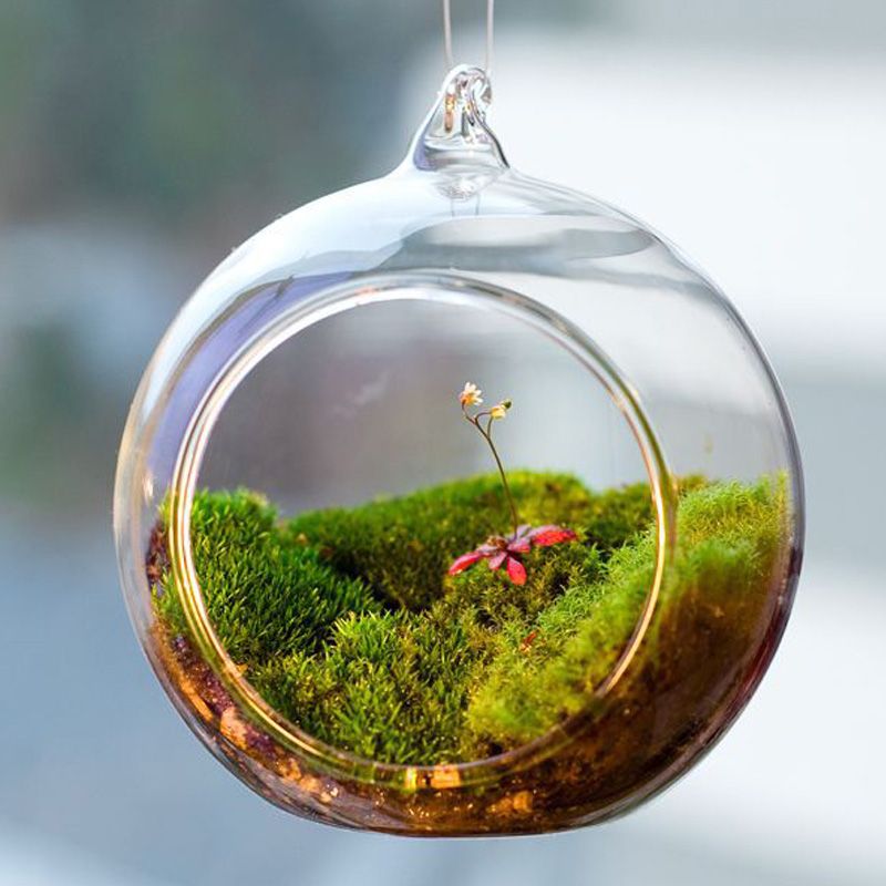 8cm Transparent Ball Globe Shape Clear Hanging Glass Vase Flower