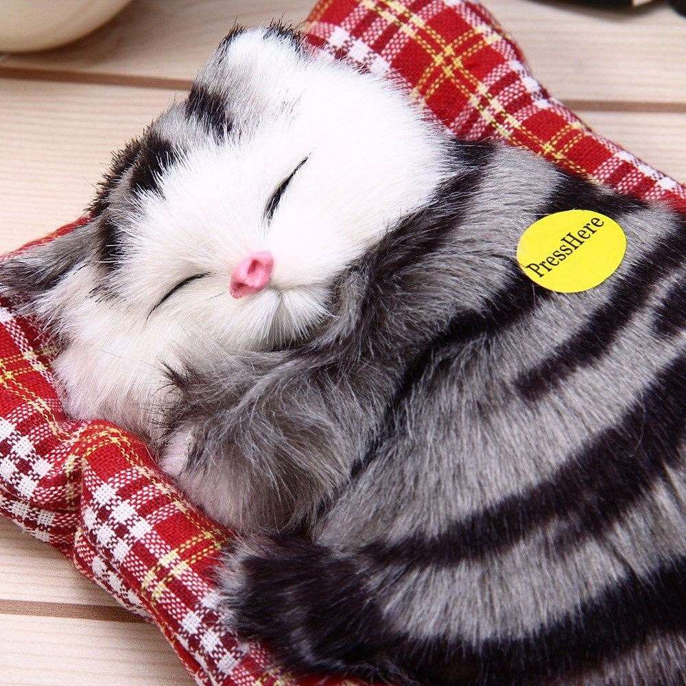 sleeping cat in basket toy