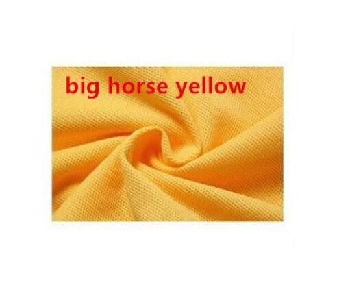 Big Hors jaune