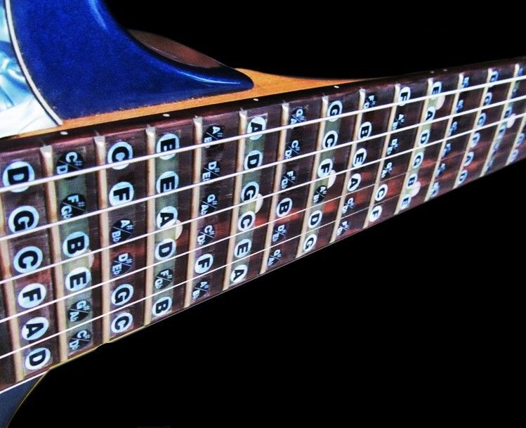 Diapasón guitarra etiqueta engomada