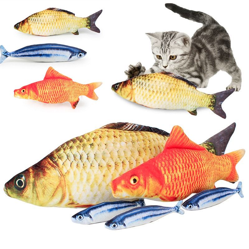 cat with fish toy