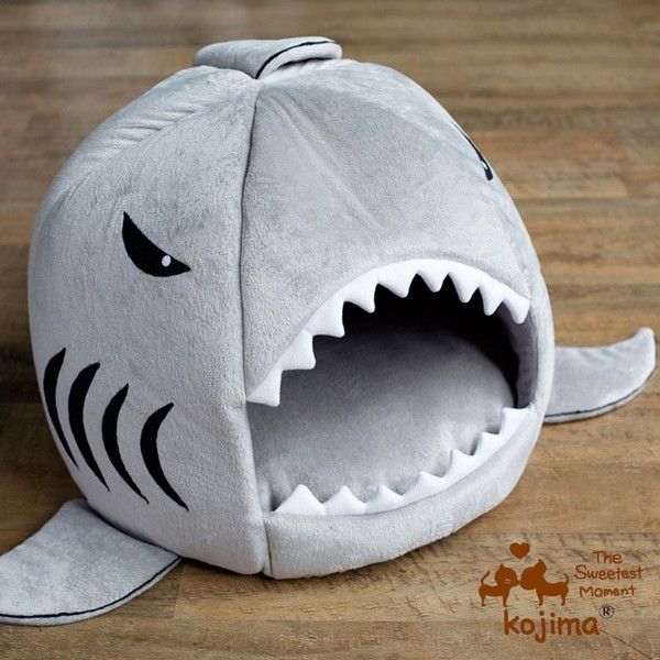 shark cat house