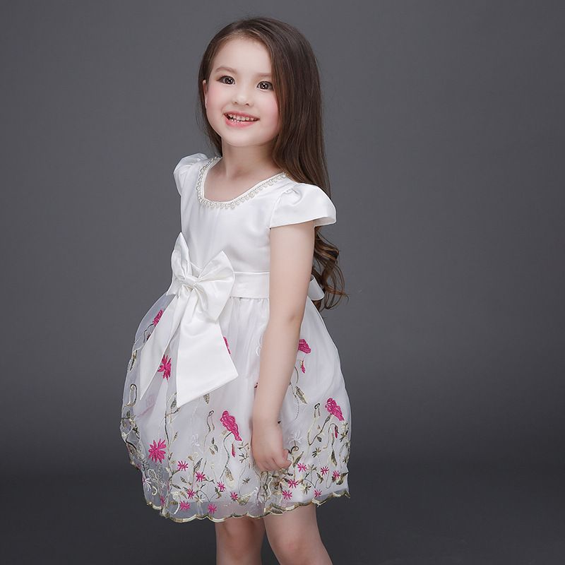 boutique embroidered organza skater dress