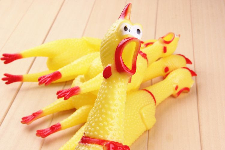 small rubber chicken