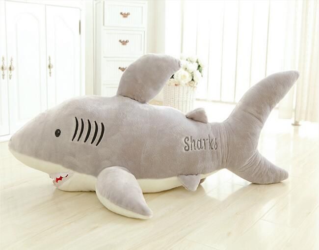 teddy bear shark
