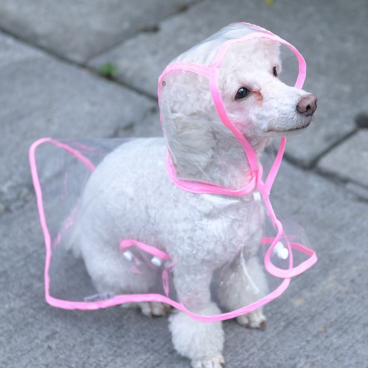 Perrito De La Capa De La Lluvia Del Perro L Blanco Perrito De La Capa De La Lluvia Del Perro L Blanco