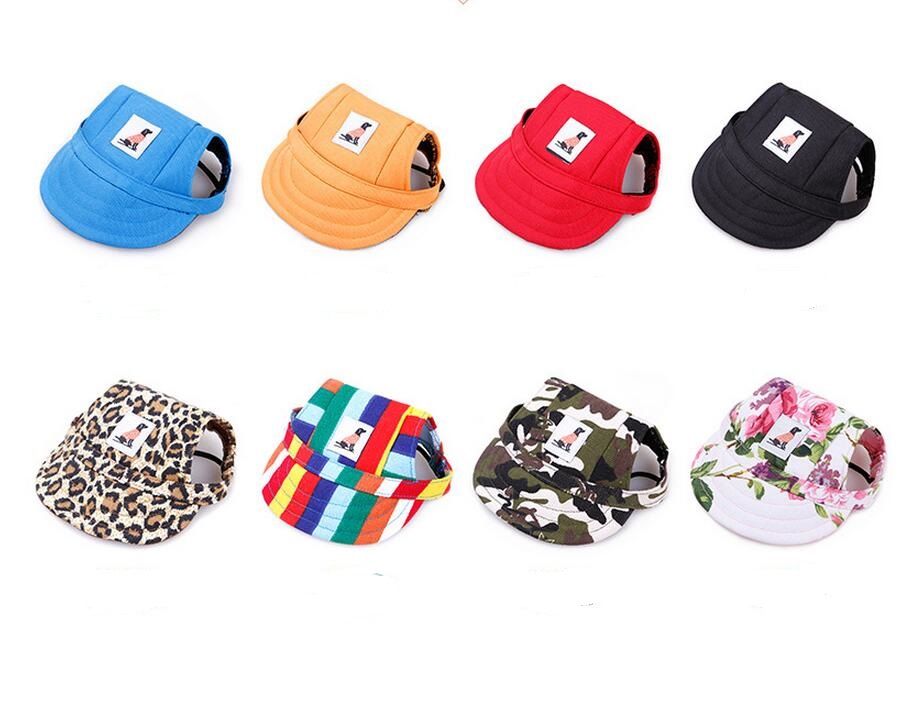 chihuahua baseball hat