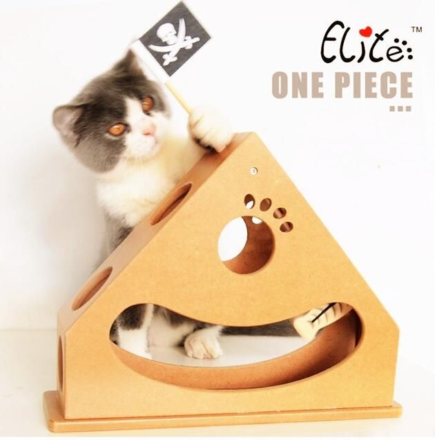 cat exercise toys