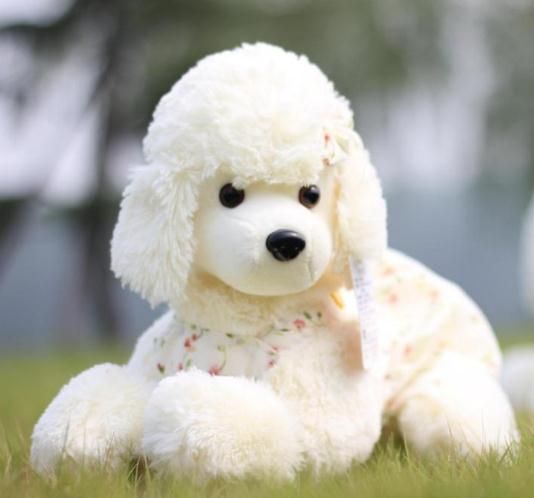 Poodle de pelucia Clearance