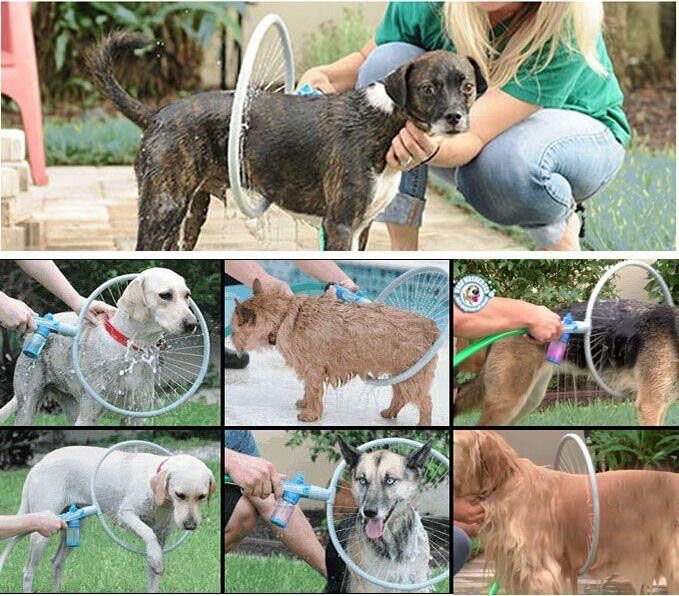 360 dog washer