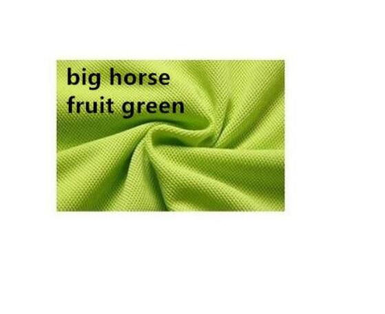 كبير الخيول الأخضر 2.
