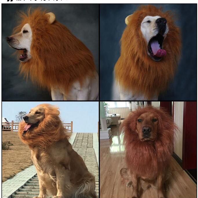 2020 Halloween Dog Clothes Pet Costumes Hair Ornaments Cat Fancy Dress Up Lion Mane Wig For Large Dog Supplies From Glass Smoke 5 92 Dhgate Com