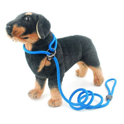 dog leash brand