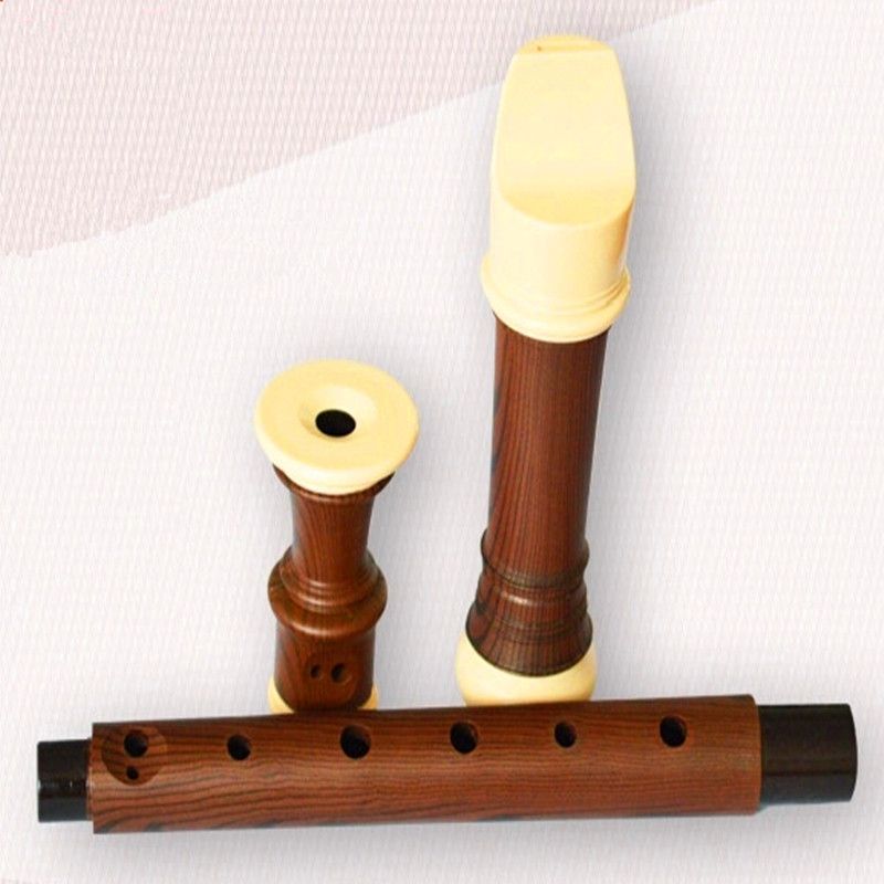 Acquista Barique 8 Fori Flauto Dolce Clarinetto Soprano Cinese Verticale Dizi Abs Placcatura In Resina Legno Grano Flauto C Chiave Strumento Musicale A 23 95 Dal Great Dhgate Com