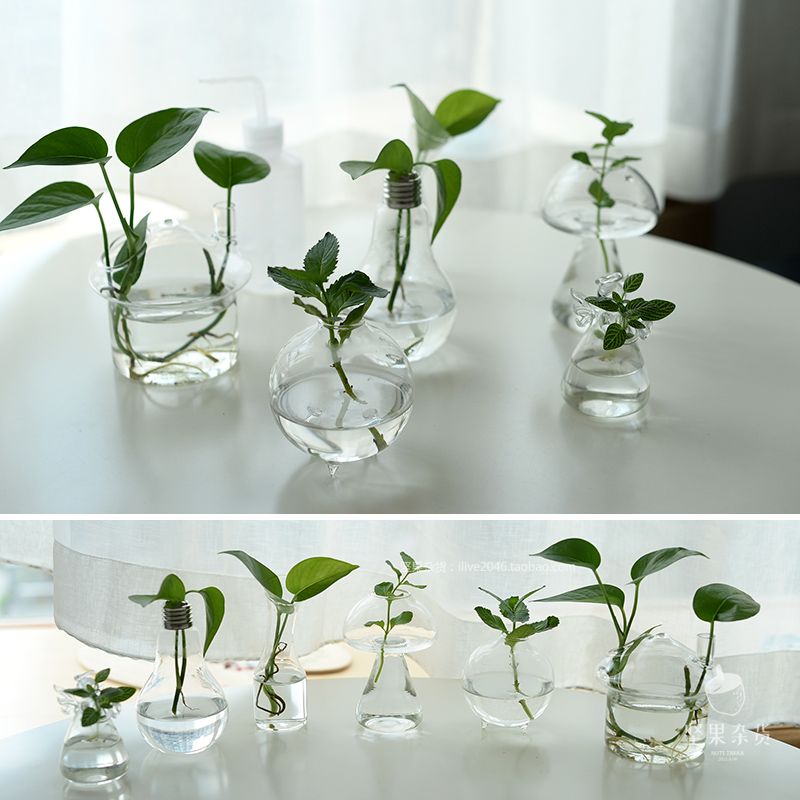 Glass Vases Flower Pots Planters Crystal Glass Pots Home