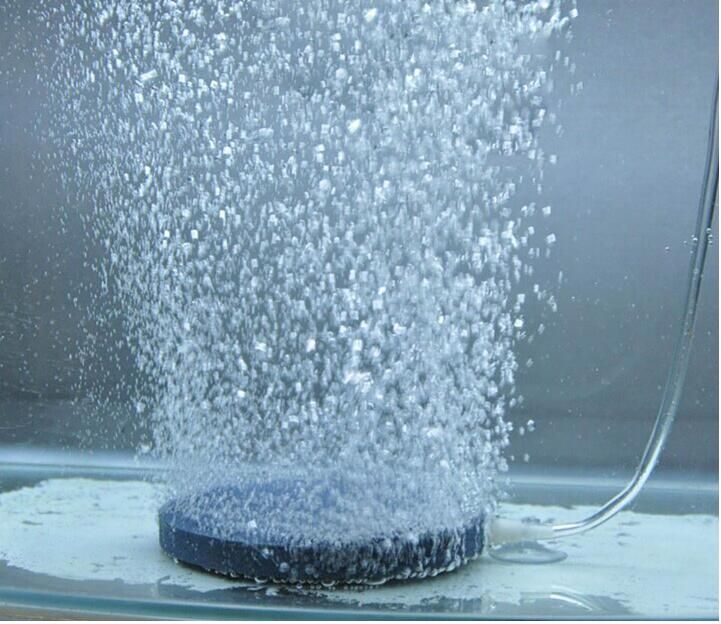 cheap aquarium accessories