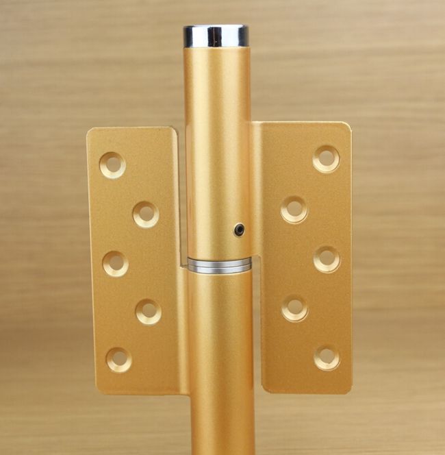 2019 6 Inch Invisible Door Aluminum Alloy Hydraulic Pressure Door