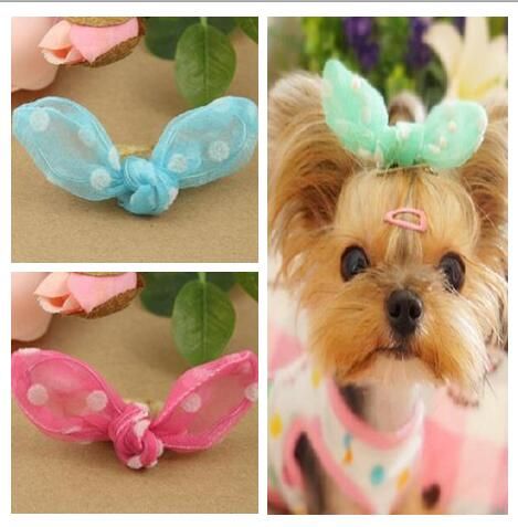 dog bows for ears