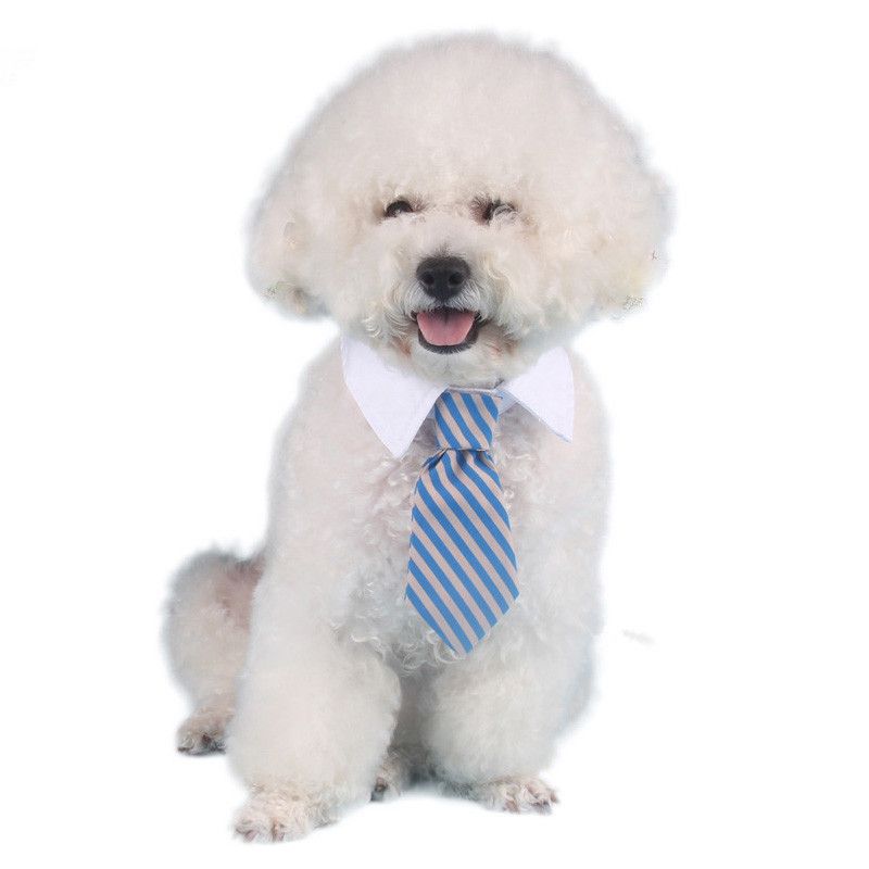 pet tie