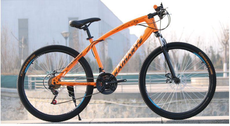 19 inch mountain bike