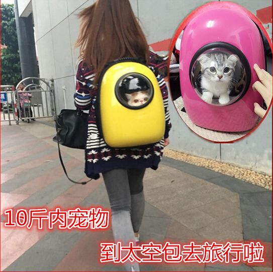 astronaut cat carrier