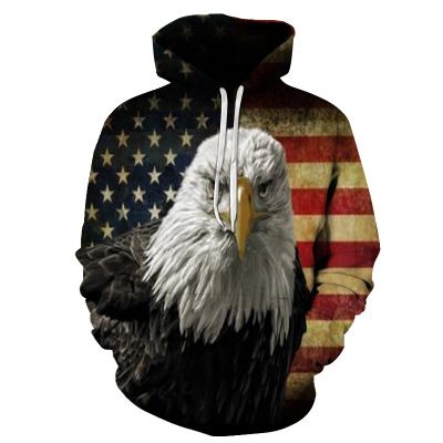 american eagle moletom com capuzs uk