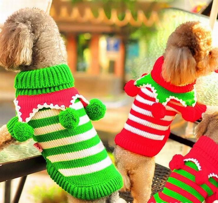 green dog christmas sweater