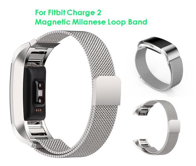 fitbit with magnetic band