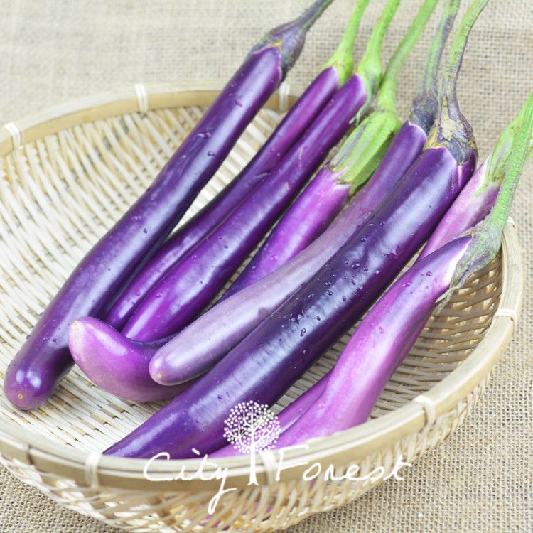 100 pcs Long Eggplant easy planting vegetables