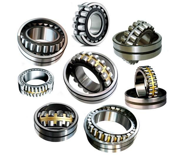 double roller bearing