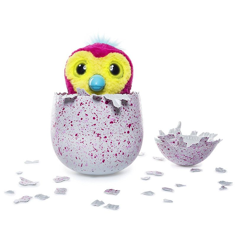 hatchimals hatching