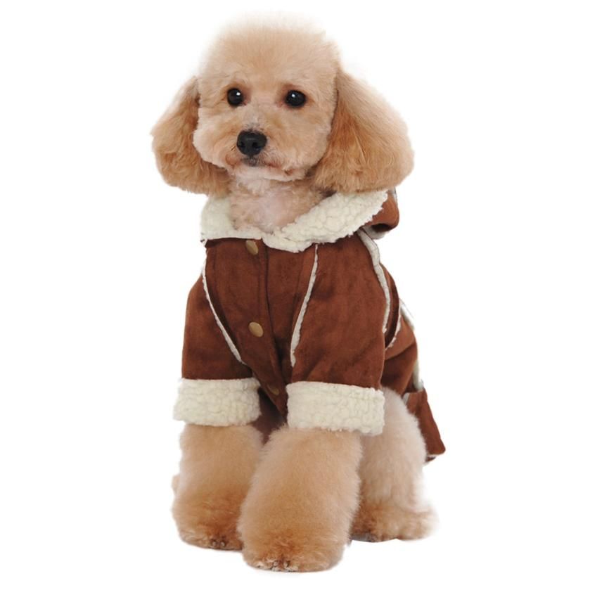 dog cloth