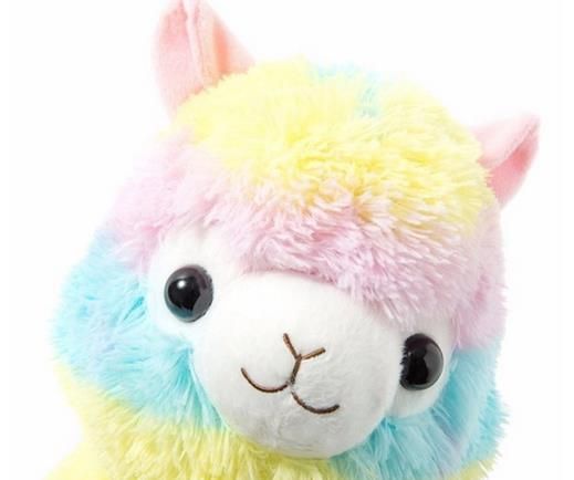 super jumbo alpacasso