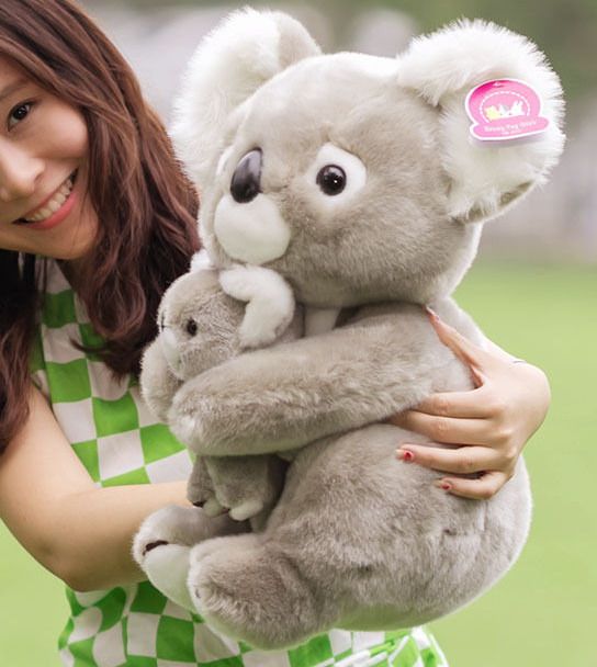 koala bear stuffed animal