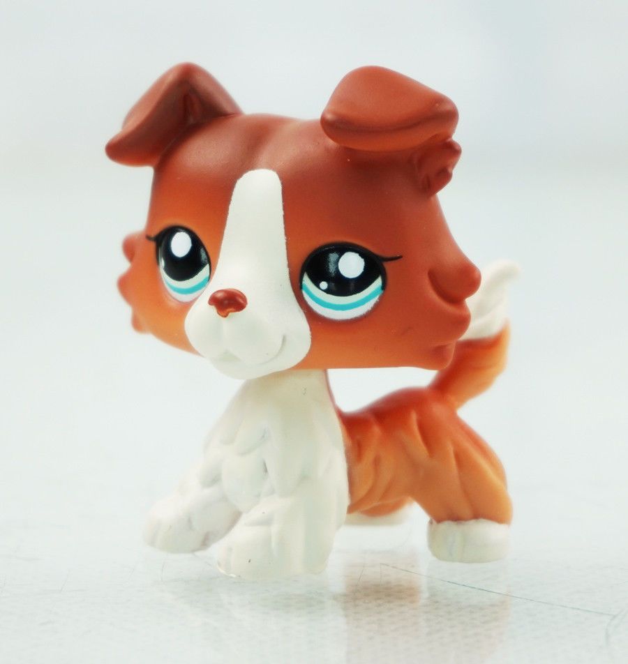 lps collie 1542