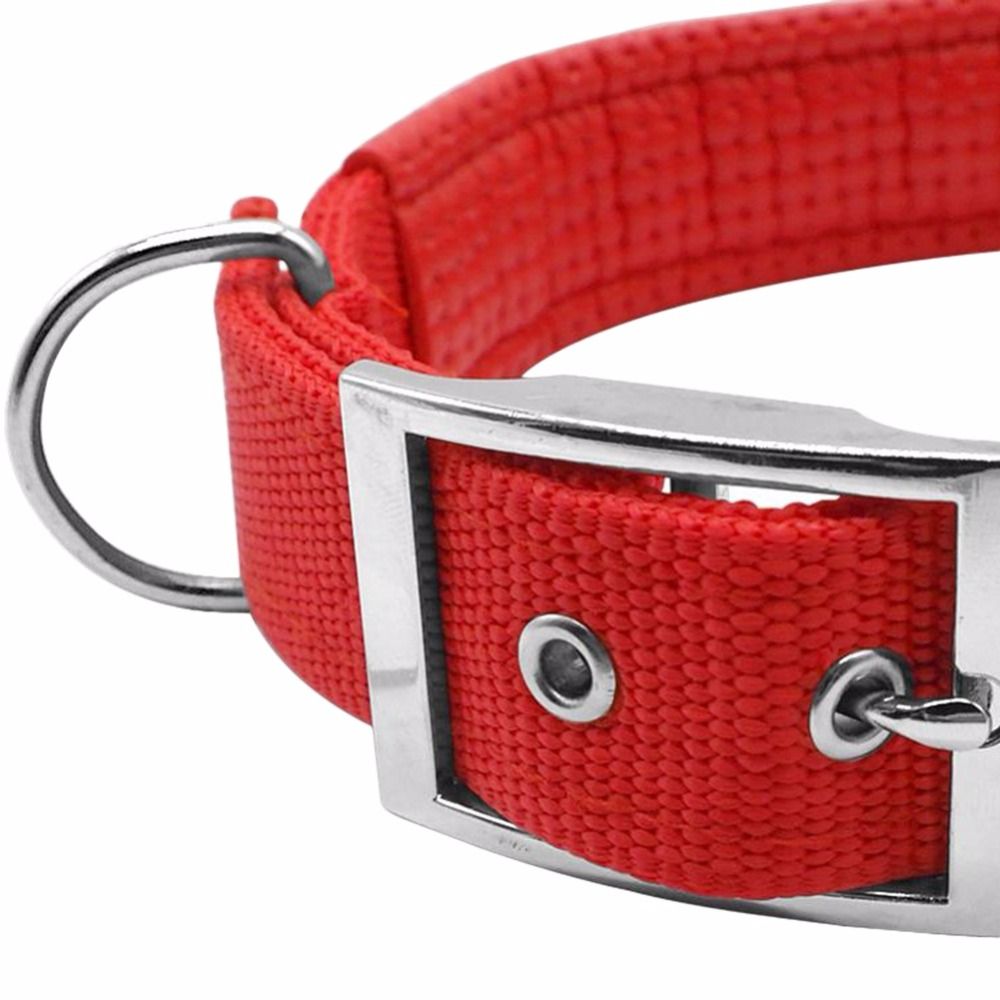 Collare Cani Imbottito Con Imbottitura Morbida In Nylon Da 1 Pezzo Protezione Il Collo Collare Sicuro Cani Di Taglia Medio Piccola Da 6,69 € | DHgate