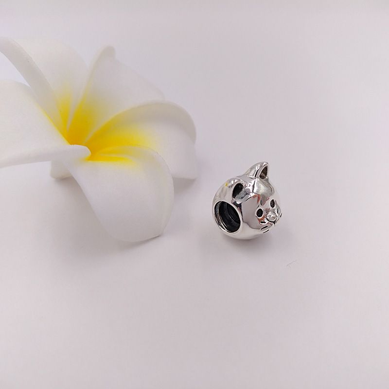 Curious cat charm pandora sale