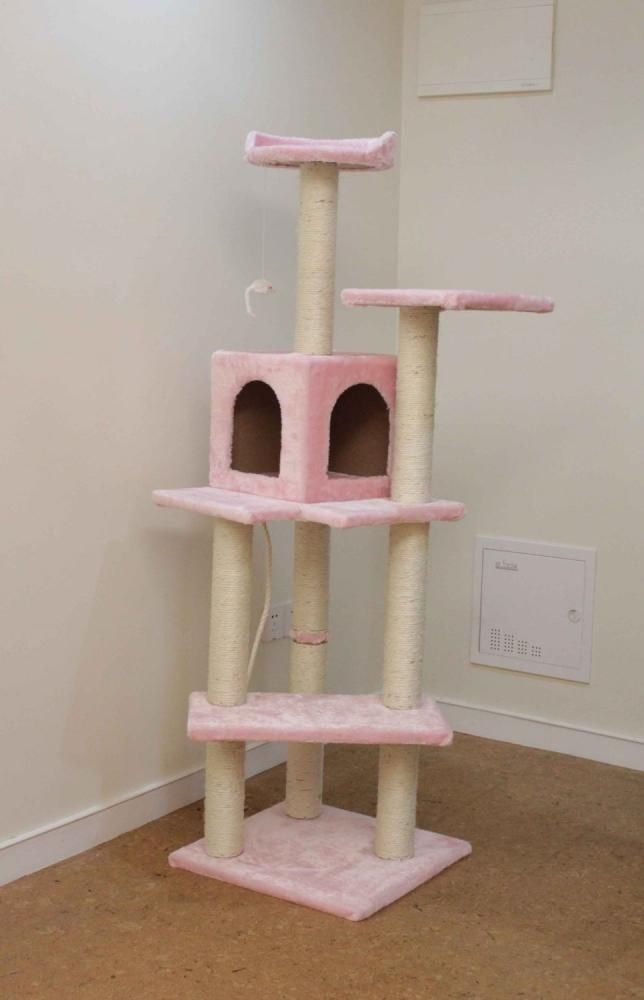 pink cat tree