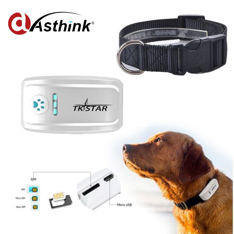 tkstar dog tracker