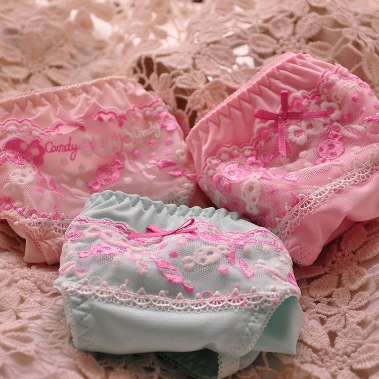 2021 Women Panties Blue Pink Low Waist Rayon With Embroidery Lady