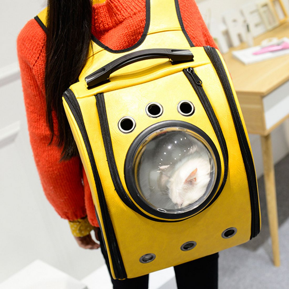 cat transport backpack