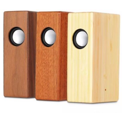 stereo induction speaker