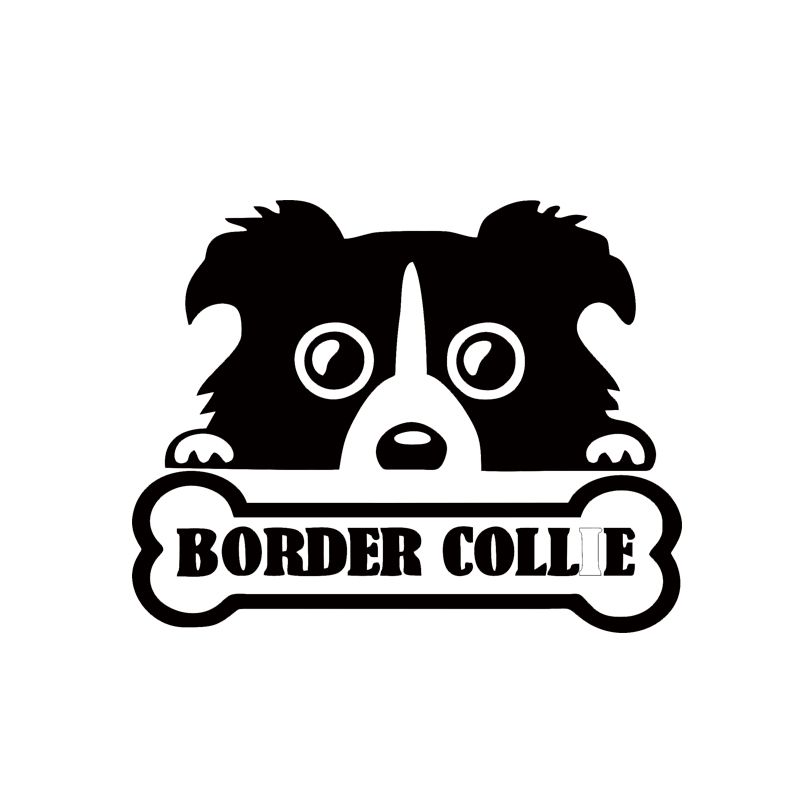 border collie car decal